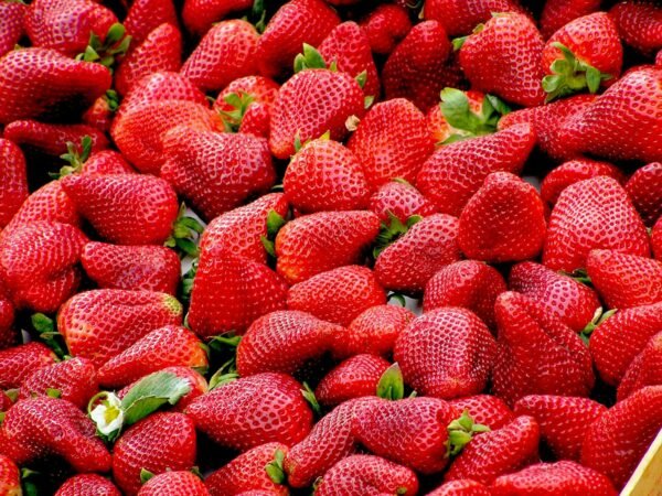 Strawberry (1box)